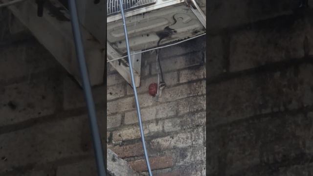 Почистить кондиционер (очистка сплит-системы) смотреть онлайн