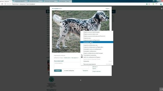 Как прикрепить изображение к сообщению на форуме . 2020