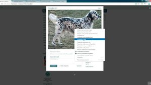 Как прикрепить изображение к сообщению на форуме . 2020