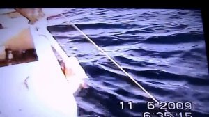 2009 год.Ловля ярусом.Баренцево море.Норвегия