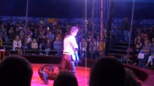 Тюлень - шоу | Морской котик на арене цирка_ часть2