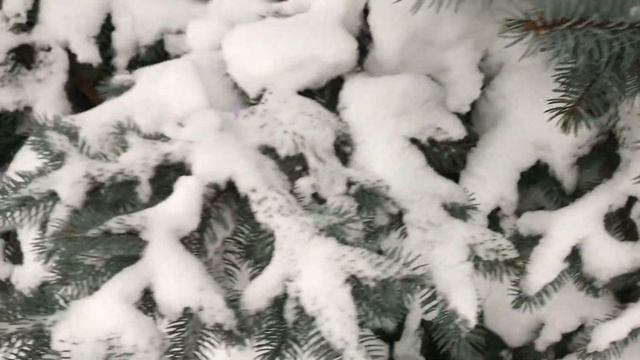 Vlog: Новогодние каникулы в УСТЬ-КАЧКЕ/ 2 ЧАСТЬ / 3 день смотреть онлайн