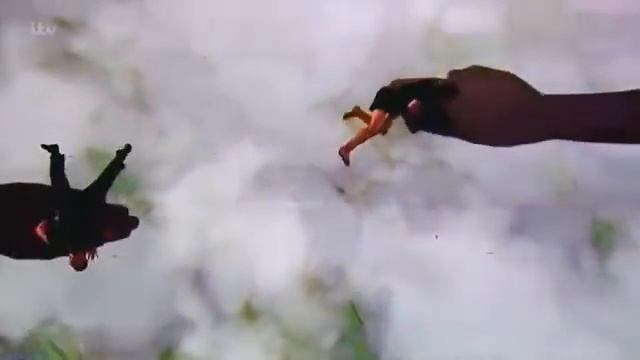 Шоу Талантов. Что вытворяют они... это СУПЕР!!! смотреть онлайн