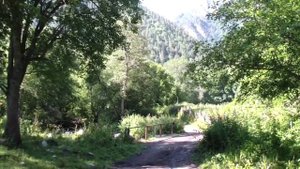 Джамагатские источники, Теберда, Джамагат - Ущелье и нарзаны