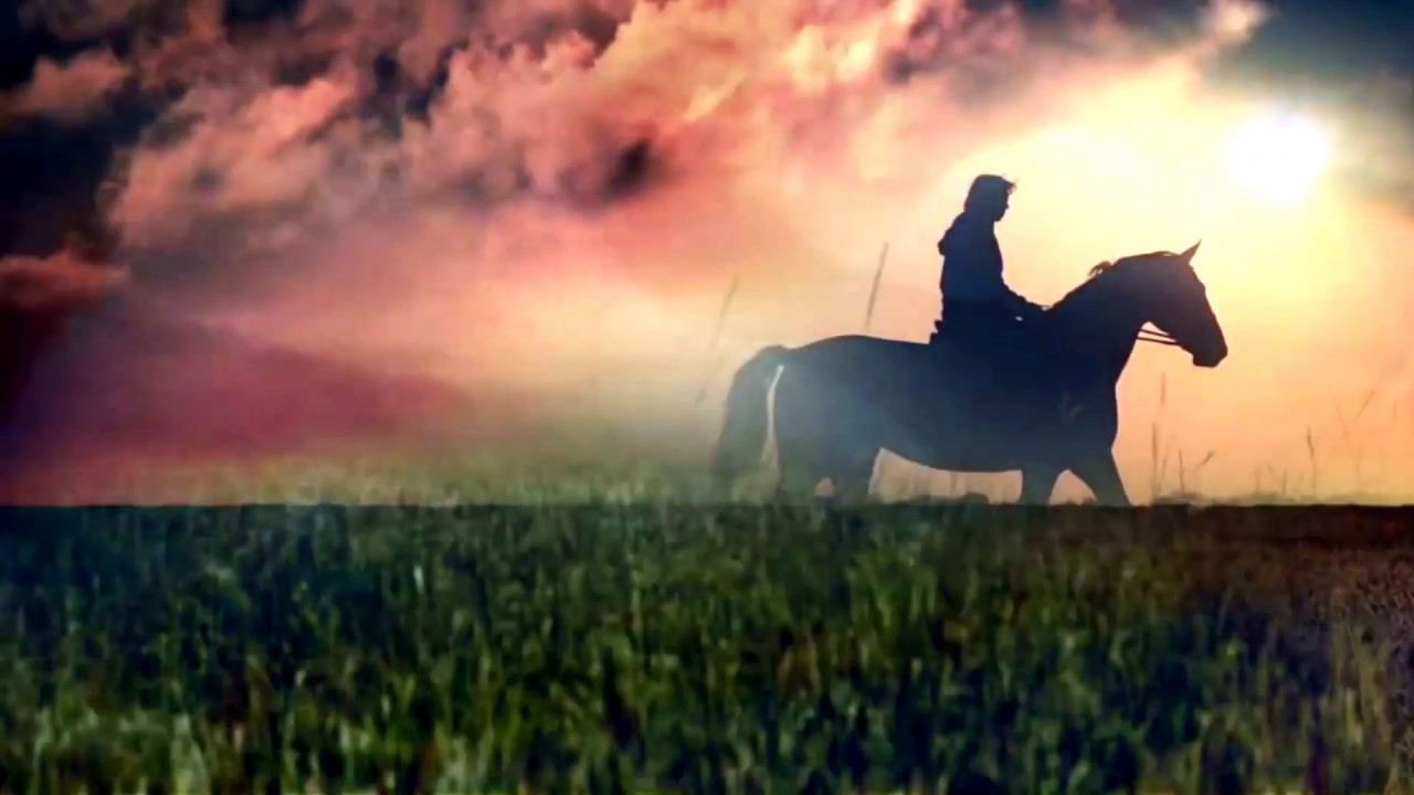Коня споем. Лошадь в поле. Мужчина на коне в поле.