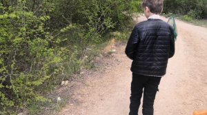 ЛОВЛЮ ЗЕЛЕНЫХ🦎 ЯЩЕРИЦ