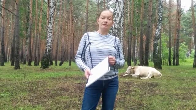 Содержание и кормление коз/жизнь в деревне смотреть онлайн