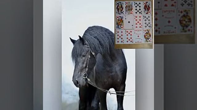 Обучение по сочетанию карт/ гадание на игральных картах
