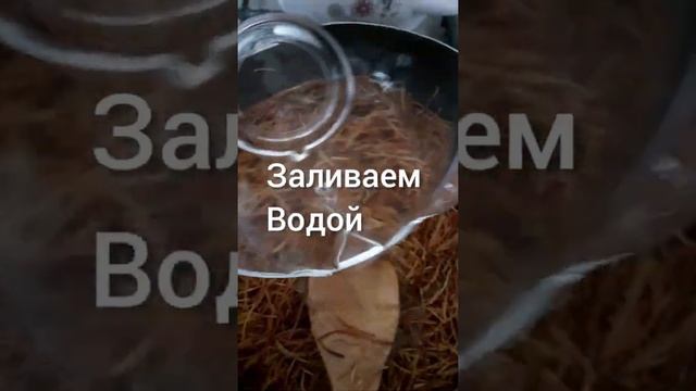 АРМЯНСКИЙ ПЛОВ ИЗ ВЕРМИШЕЛИ,И КУРИЦЫ.