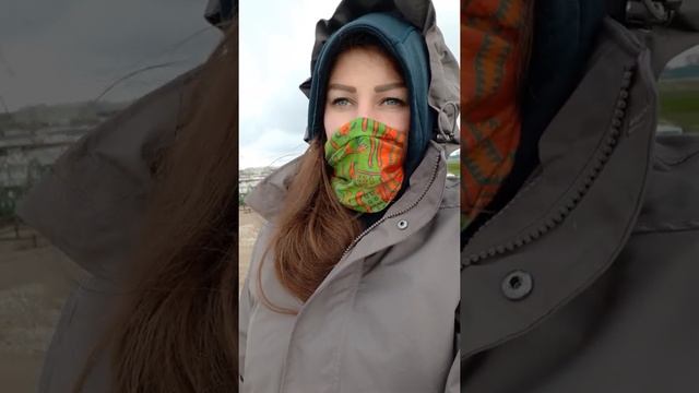 сезонная работа на капусте в Великобритании смотреть онлайн