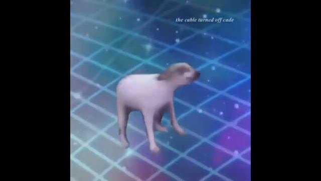 DANCE TILL YOU'RE DEAD