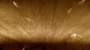 Абу Силг – Ответ