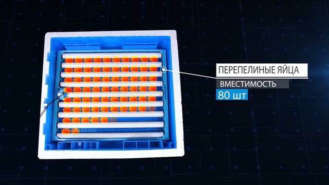 Автоматический инкубатор для яиц Птичий Двор S 64 720p смотреть онлайн