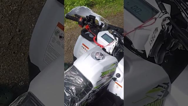 КВАДРОЦИКЛ ДЛЯ ШКОЛЬНИКА. Доставка Avantis Hunter 8 NEW. смотреть онлайн