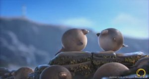 А что, если бы животные были круглыми