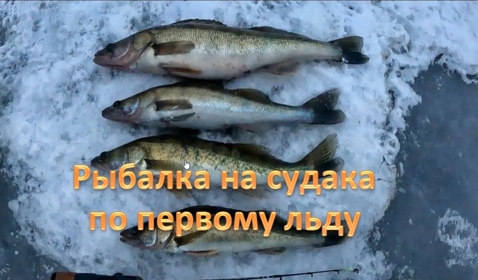 Рыбалка на судака по первому льду. Река  ИЖ.