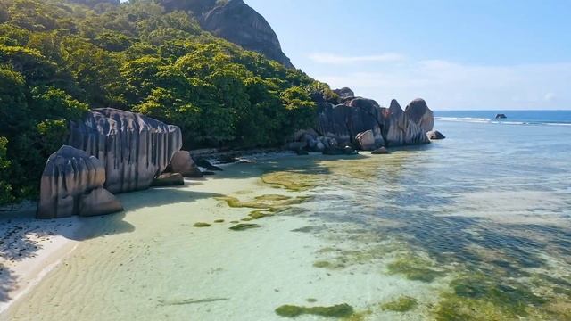 Заживление расслабления• нервные расстройства,уменьшают стресс и беспокойство• Положительная энерги смотреть онлайн