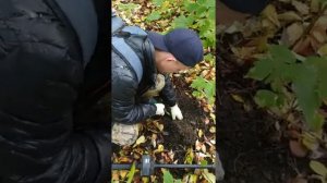 Коп в Екатеринбурге.#Металоискатель#Минелабетрак#коп