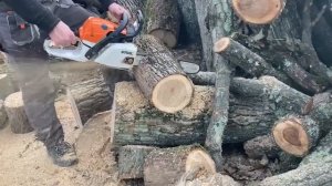 Stihl MS 241 C-M ideal for home