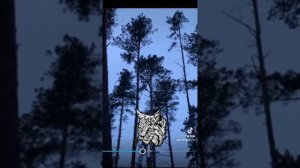 В поддержку Рода д*Харийцев