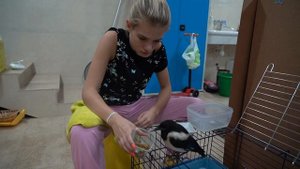 Птенец Сороки/ Первые Дни Дома