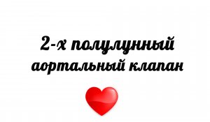 Двухполулунный аортальный клапан на УЗИ сердца