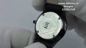 Мужские наручные часы Skagen 233XLCLB
