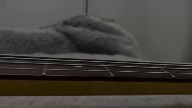 Fender Japan Precision Bass '62 reissue PB62-US ALDER /US Pickup Crafted in Japan смотреть онлайн