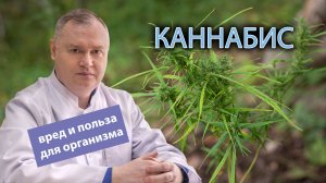 ? Каннабис: вред и польза для организма ⚕️