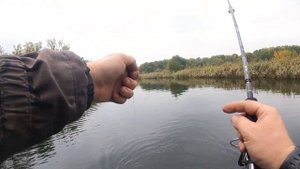 Тестирую воблеры TsuYoki! Сегодня одни щурята