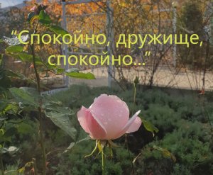 Спокойно, товарищ, спокойно... Песня Юрия Визбора