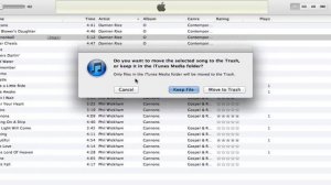 Itunes Tutorial - How To Permanently Delete Songs From Itunes