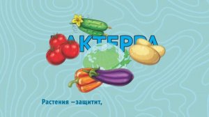 Бактерра! Растения — защитит, болезни — искоренит!