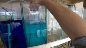 Как добиться качественной воды в нерестовиках. 3 способа