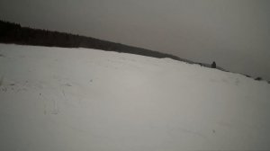 Охота на Лису капканами/ ПОПАЛАСЬ МАТЁРАЯ/сезон 2021-2022