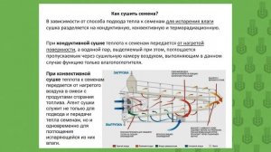 3.2 Растениеводство