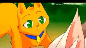 Коты воители песня эхо пЕзАлИв