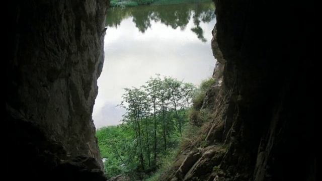 Река белая, рождение стрекозы смотреть онлайн