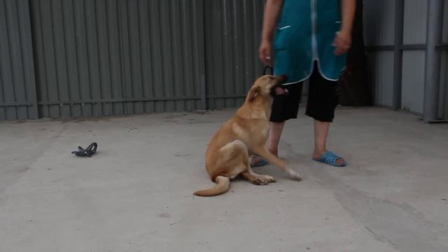 Арма смотреть онлайн