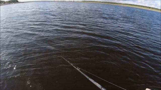 Джеркбейты на щуку Palych Custom смотреть онлайн