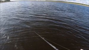 Джеркбейты на щуку Palych Custom