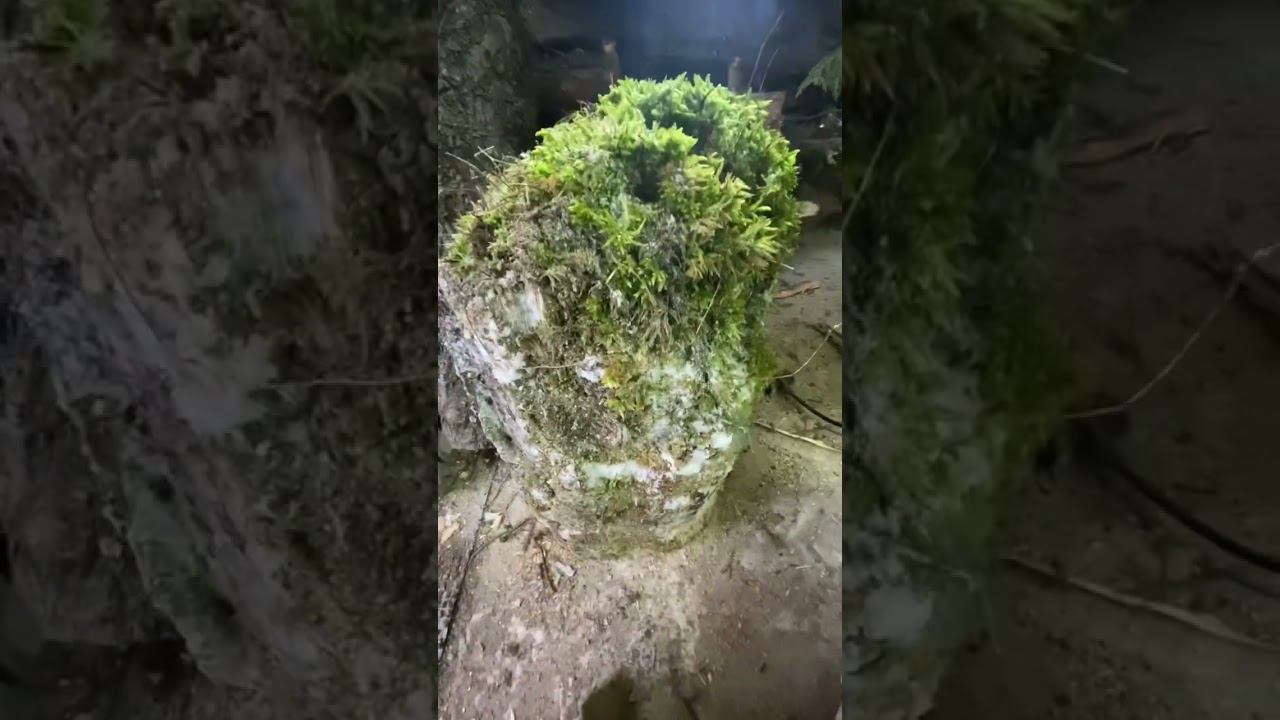 Что за это такое смотреть онлайн