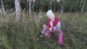 Медовый Спас и начало Успенского поста 2024