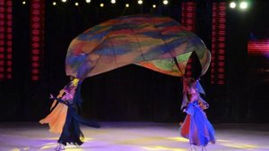 Цирк на льду Никулина