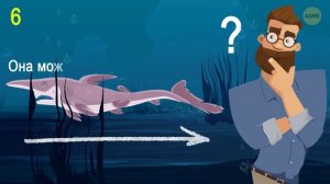 Существа Марианской впадины, которые куда страшнее мегалодона