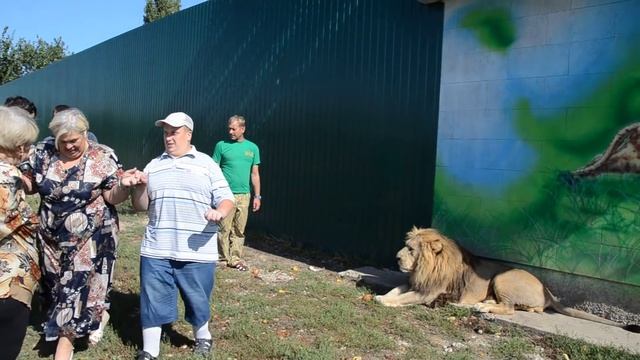 ЛЬВИНОТЕРАПИЯ ...или как львы ревнуют Филю к славе ... смотреть онлайн