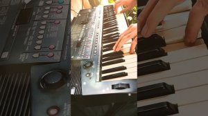 Yamaha psr_510   ( careless whisper )
