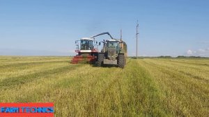 КСУ-1 косит, ДОН-680 подбирает, FENDT возит, Бюлер и Кировец трамбует