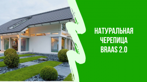 Обзор BRAAS 2.0