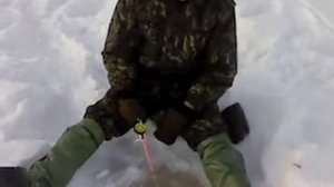 Весенняя рыбалка на Северной Двине